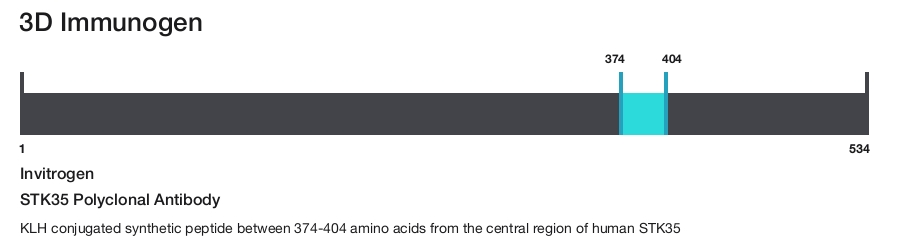 STK35 Polyclonal Antibody