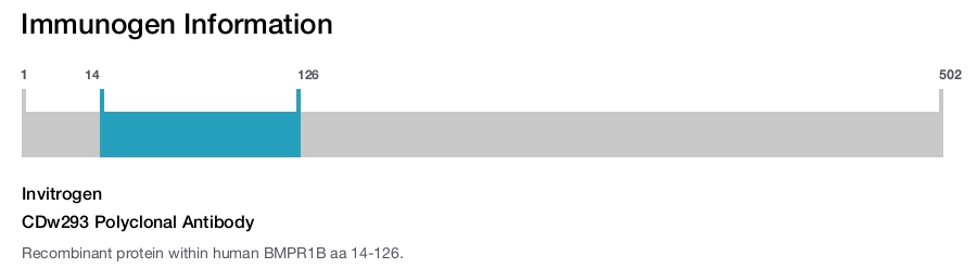 CDw293 Polyclonal Antibody