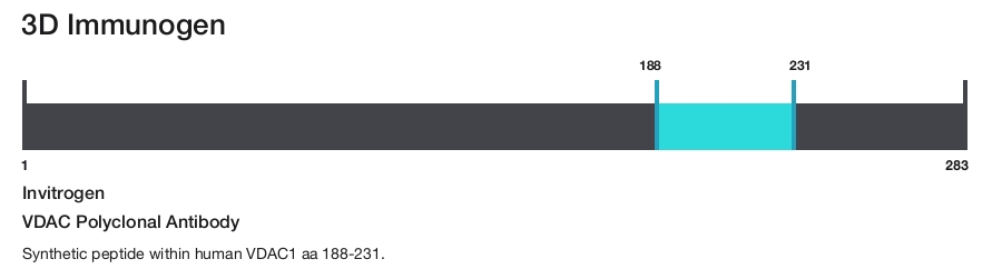 VDAC Polyclonal Antibody