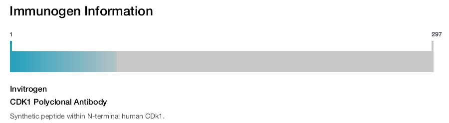 CDK1 Polyclonal Antibody