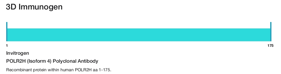POLR2H (Isoform 4) Polyclonal Antibody