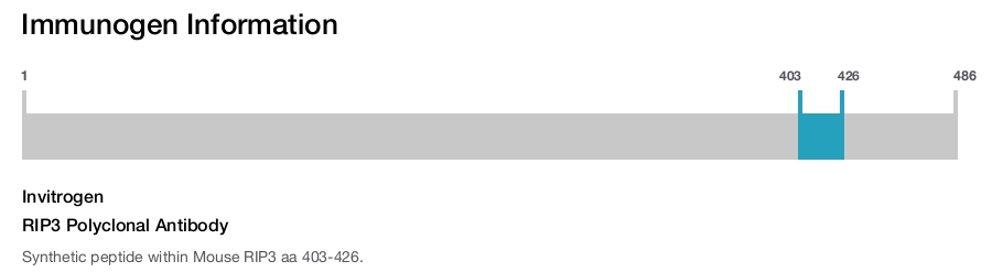 RIP3 Polyclonal Antibody