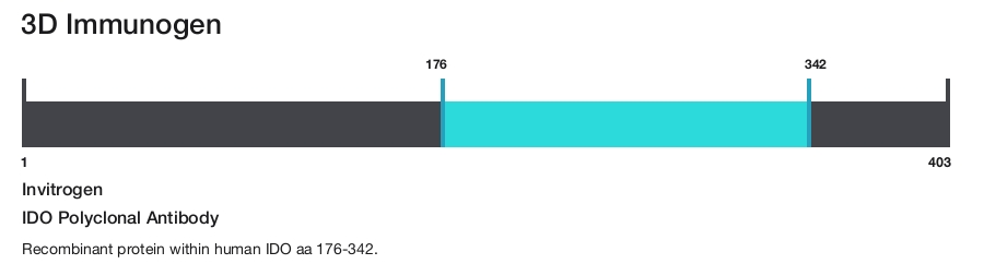 IDO Polyclonal Antibody