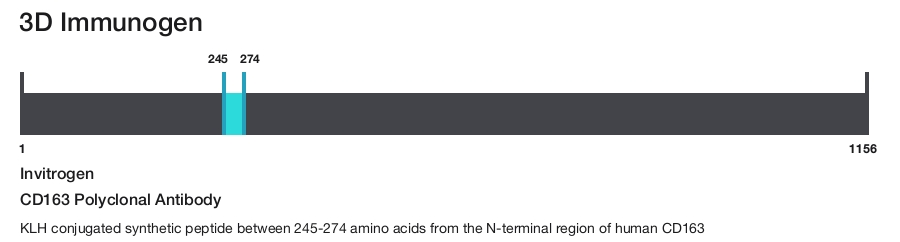 CD163 Polyclonal Antibody