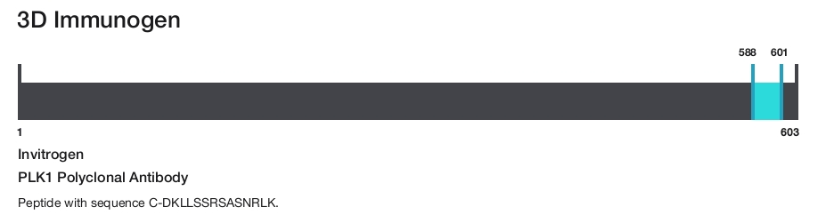 PLK1 Polyclonal Antibody