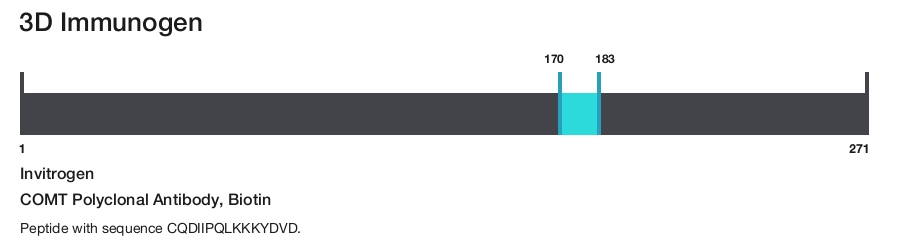 COMT Polyclonal Antibody, Biotin