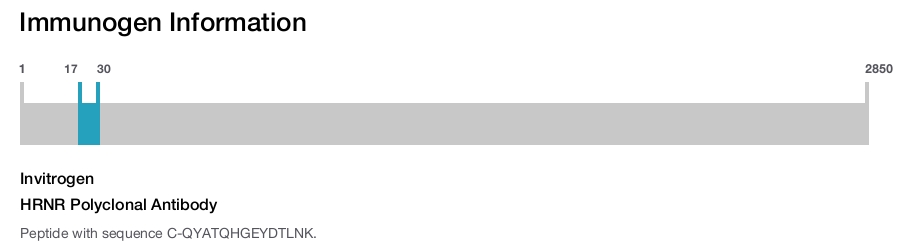 HRNR Polyclonal Antibody