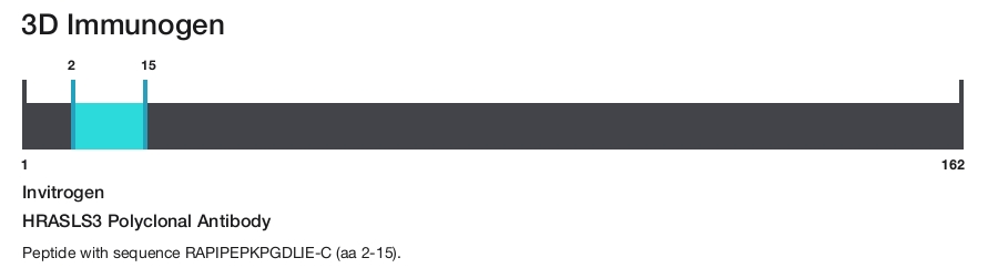 HRASLS3 Polyclonal Antibody