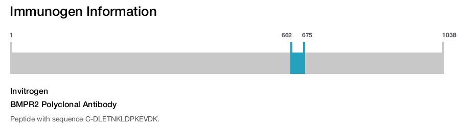 BMPR2 Polyclonal Antibody