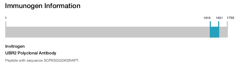 UBR2 Polyclonal Antibody