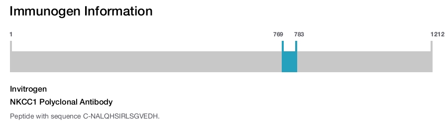 Immunogen Image NKCC1 Polyclonal Antibody