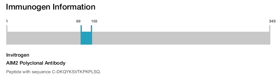 AIM2 Polyclonal Antibody