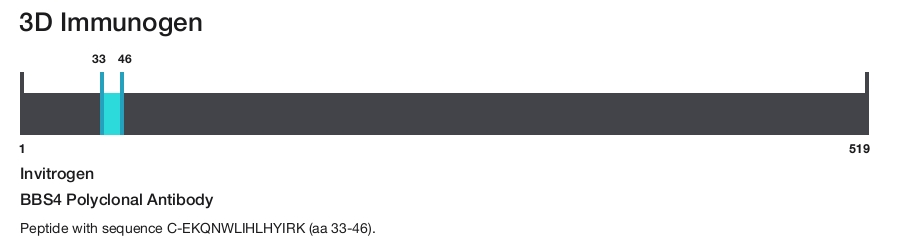 BBS4 Polyclonal Antibody
