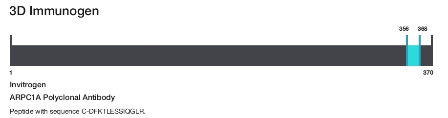 ARPC1A Polyclonal Antibody