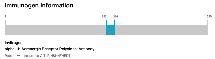 alpha-1b Adrenergic Receptor Polyclonal Antibody