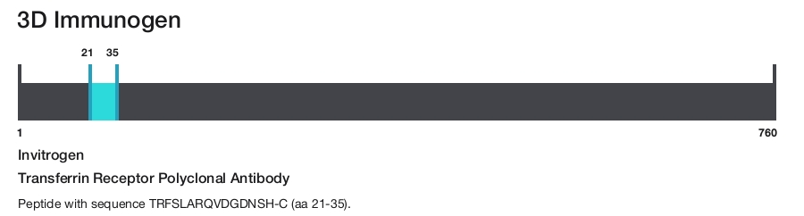 Transferrin Receptor Polyclonal Antibody