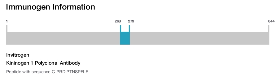 Kininogen 1 Polyclonal Antibody