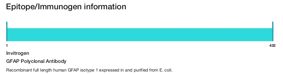 GFAP Polyclonal Antibody