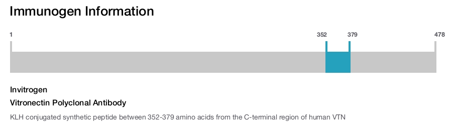Vitronectin Polyclonal Antibody