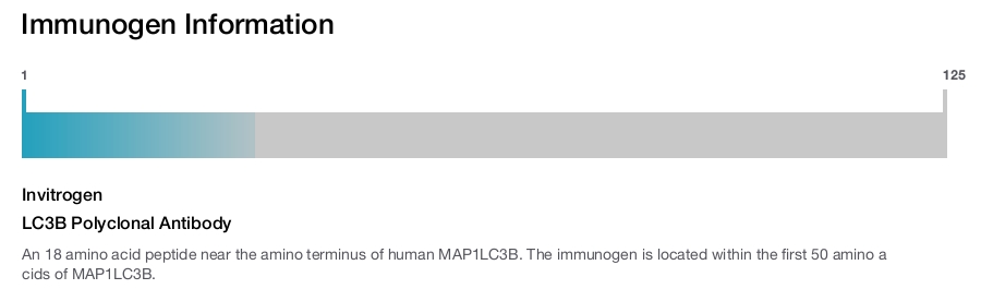 LC3B Polyclonal Antibody