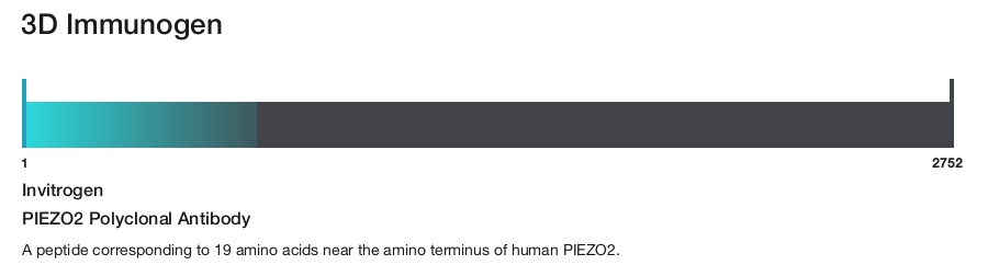 PIEZO2 Polyclonal Antibody