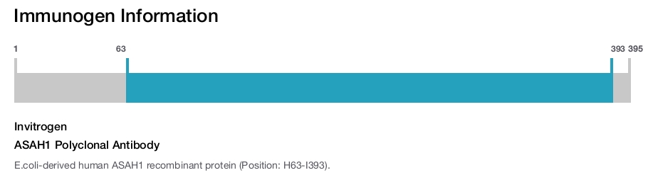ASAH1 Polyclonal Antibody