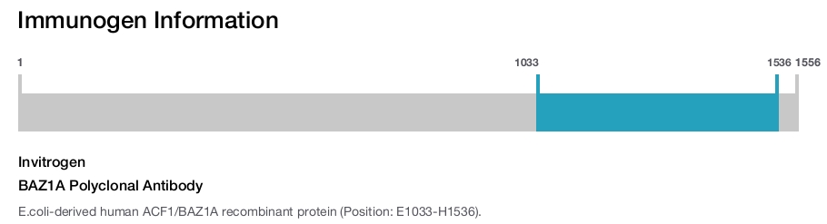 BAZ1A Polyclonal Antibody