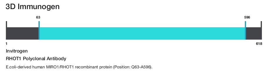 RHOT1 Polyclonal Antibody