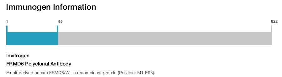 FRMD6 Polyclonal Antibody