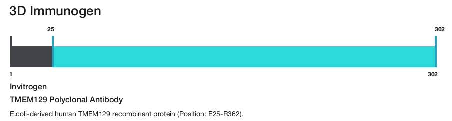 TMEM129 Polyclonal Antibody