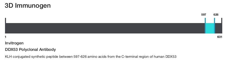 DDX53 Polyclonal Antibody