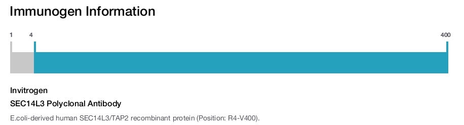SEC14L3 Polyclonal Antibody