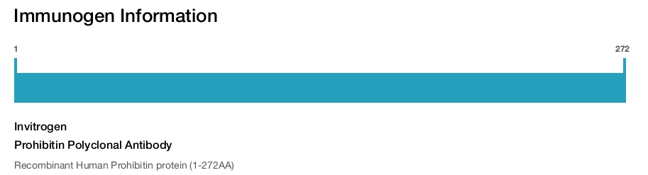 Prohibitin Polyclonal Antibody