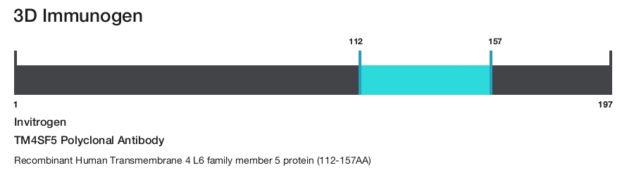 TM4SF5 Polyclonal Antibody