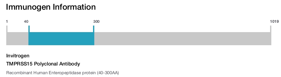 TMPRSS15 Polyclonal Antibody