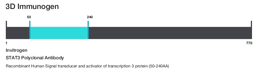 STAT3 Polyclonal Antibody