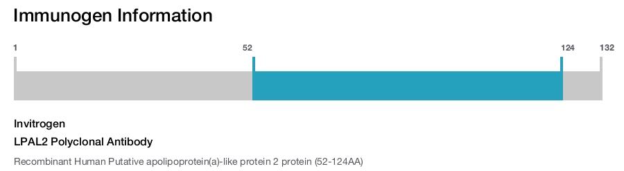 LPAL2 Polyclonal Antibody