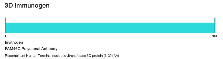 FAM46C Polyclonal Antibody