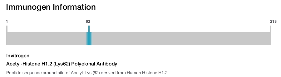 Acetyl-Histone H1.2 (Lys62) Polyclonal Antibody