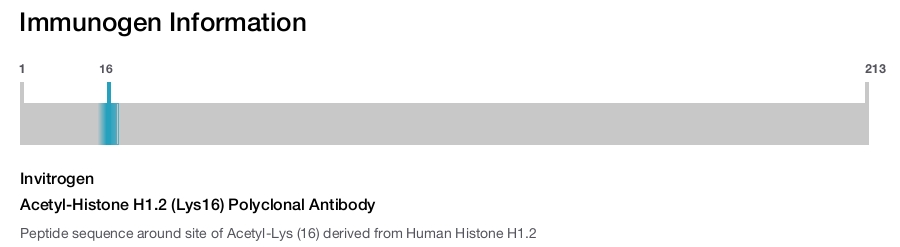 Acetyl-Histone H1.2 (Lys16) Polyclonal Antibody