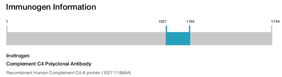 Complement C4 Polyclonal Antibody
