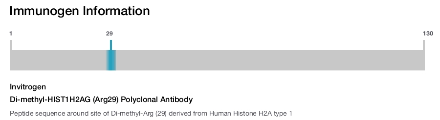 Di-methyl-HIST1H2AG (Arg29) Polyclonal Antibody