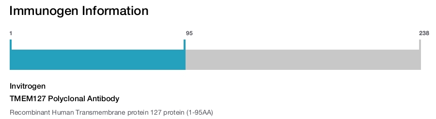 TMEM127 Polyclonal Antibody