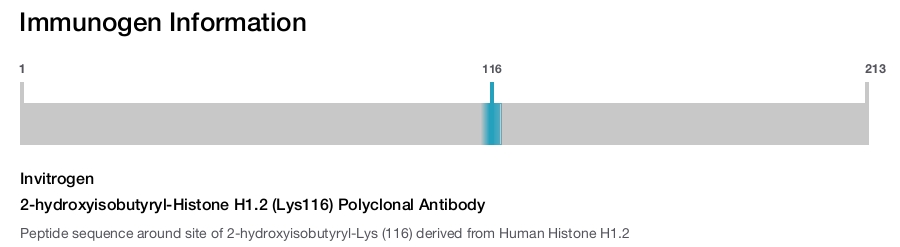 2-hydroxyisobutyryl-Histone H1.2 (Lys116) Polyclonal Antibody