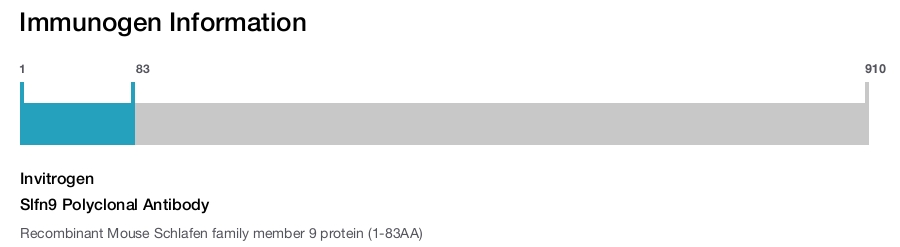 Slfn9 Polyclonal Antibody