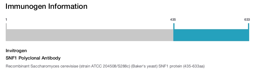 SNF1 Polyclonal Antibody