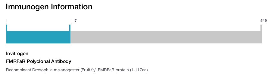 FMRFaR Polyclonal Antibody