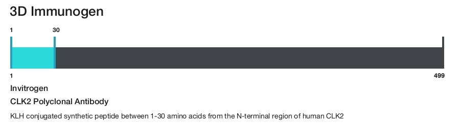 CLK2 Polyclonal Antibody