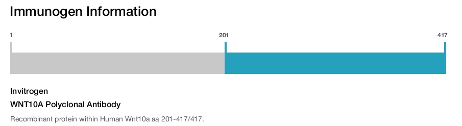 WNT10A Polyclonal Antibody