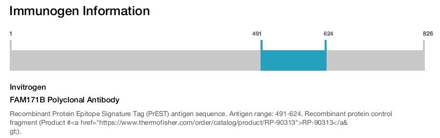 FAM171B Polyclonal Antibody